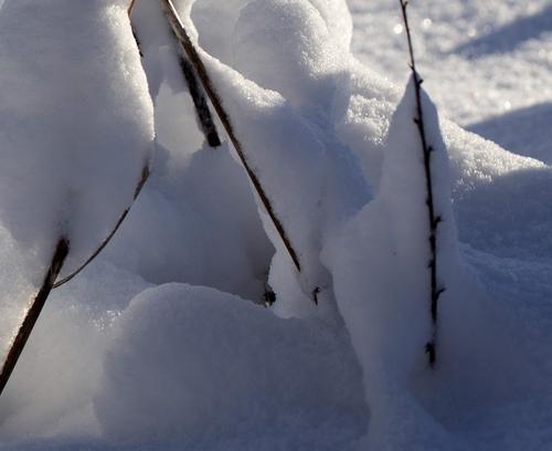 Эксперт-климатолог предсказывает морозную зиму в России
