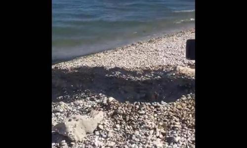Жажда моря:  в Коктебеле отдыхающих не смущает зловонный  запах канализации на пляже и сточные воды под галькой 