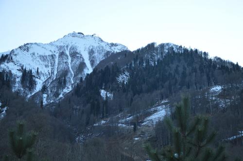 В горах в Сочи пропала группа из 11 туристов, в том числе восемь детей