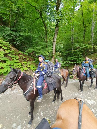 Пропавшую туристическую группу с детьми ищут в горах Сочи
