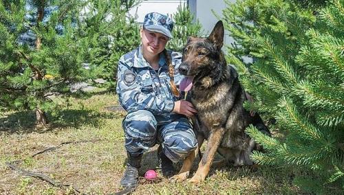 На защите чести. Под Петербургом служебный пёс спас похищенную девушку от изнасилования