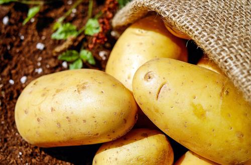 Фермеры заявили, что осенью сильно подорожает картофель 