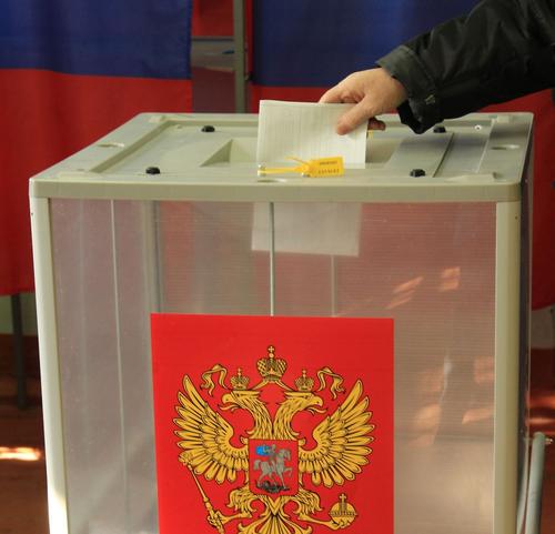 Федеральные эксперты отметили хорошую организацию выборов на Кубани
