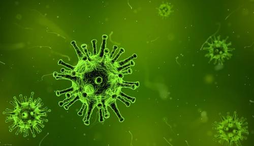 Заразившихся коронавирусом уже больше 30 миллионов человек