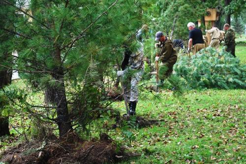 Более 60 га леса будет восстановлено в Хабаровском крае