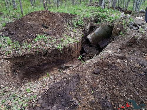 Хабаровчане нашли останки солдат, погибших в советско-японской войне