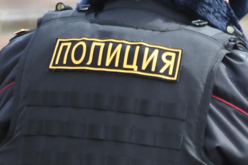 Московская полиция проверяет информацию о нападении на семью в ТиНАО