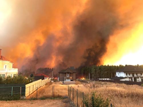 В Воронеже горят леса, в огне гибнут целые поселки. Местные жители уверены, что поджоги устраивают намеренно