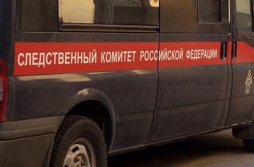 Пропавшая в Свердловской области трехлетняя девочка найдена мертвой