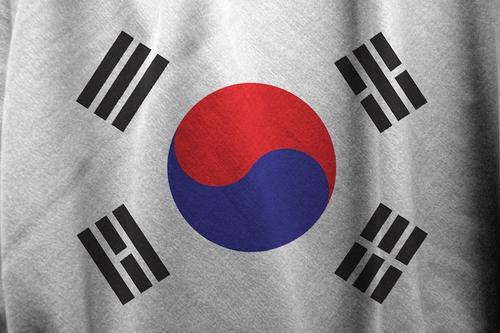 Власти Южной Кореи пока не планируют возвращаться к безвизовому режиму с Россией