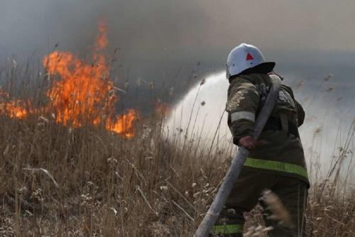 В Ростовской области из-за природного пожара эвакуировали хутор