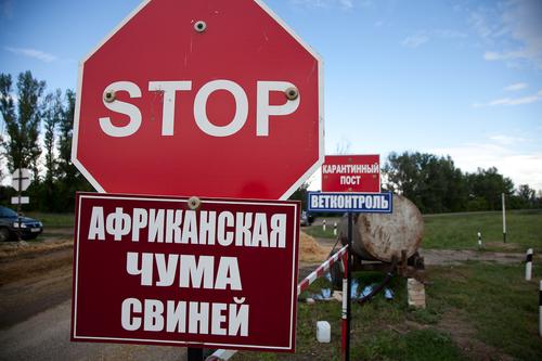 В Хабаровском крае с чумой борются напалмом