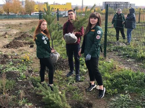 Бойцы студотрядов высадили деревья в Челябинске