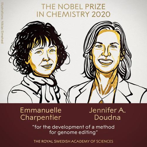 Нобелевскую премию по химии присудили двум женщинам-учёным за развитие метода редактирования генома