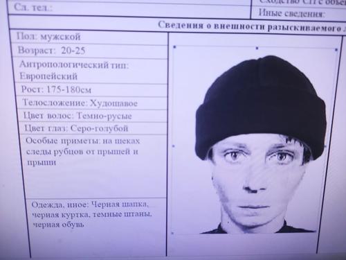 Составлен фоторобот мужчины, который шел за пропавшей  5 октября в Богородицке 15-летней Марией Дементьевой