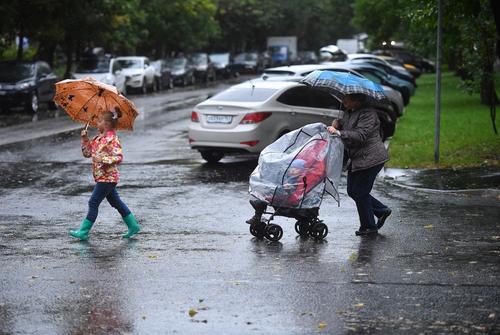 Синоптик Синенков предупредил москвичей о дожде в понедельник