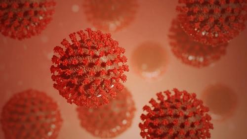 В Роспотребнадзоре спрогнозировали рост заболеваемости коронавирусом