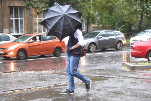 Синоптик Леус предупредил москвичей о дождях с мокрым снегом в воскресенье