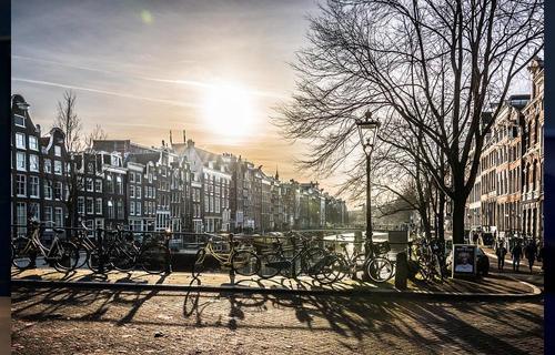 Амстердам защитит мосты от велосипедистов цветами