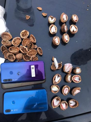 МВД: в Краснодаре спрятали почти 100 грамм наркотиков в скорлупу от орехов