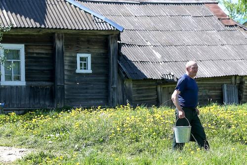 Госдума приняла закон о поддержке садоводов и огородников