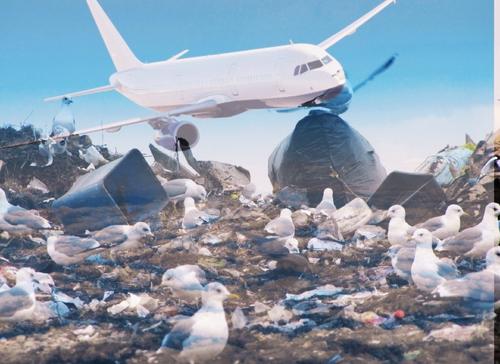 Горы мусора у аэропортов: чем они опасны и что делают с ними власти 