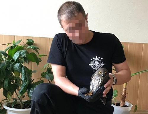 Хабаровский ОМОН отбил сову у стаи сорок