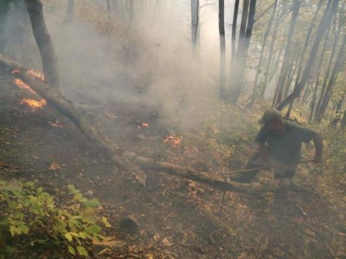 Под Туапсе бушует лесной пожар
