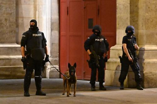 Политолог Константин Калачев высказал мнение о том, чего хотели достичь террористы в Вене