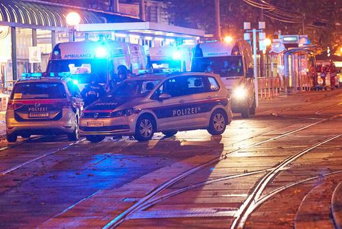 Ликвидированный в Вене террорист оказался 20-летним этническим албанцем