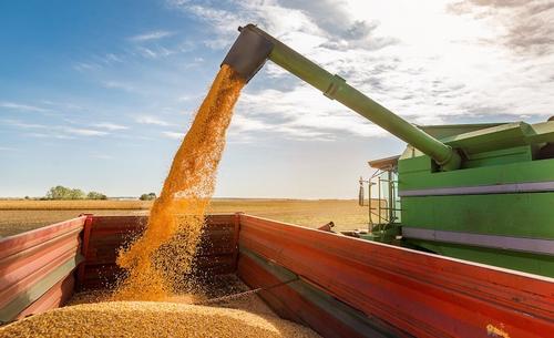 Экспорт российского зерна в Бразилию вырос в 5 раз и достиг 30 миллионов долларов