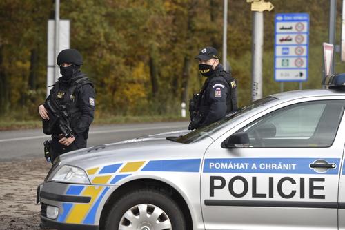 Представитель МВД ФРГ отреагировал на информацию о «дерадикализации» напавшего в Вене