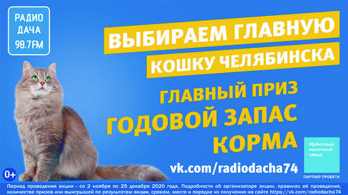 Радио Дача выбирает главную кошку Челябинска