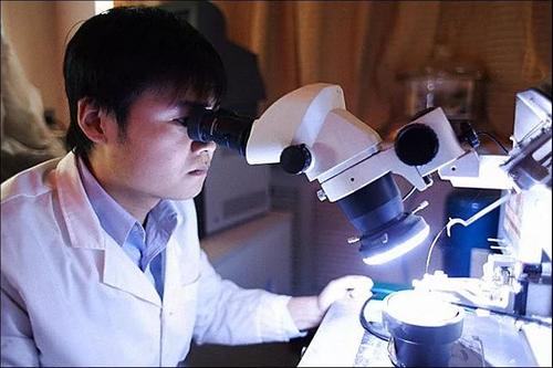 Новая раса. Учёные в КНР создают гибрид человека и обезьяны 