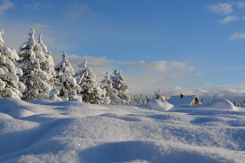 Московских туристов накрыло снегом в горах Абхазии