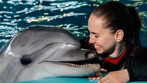 Почему  дельфины обладают удивительными способностями «самоконтроля»
