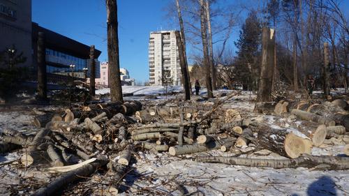 Вопрос с территорией хабаровского парка «Динамо» снова открыт