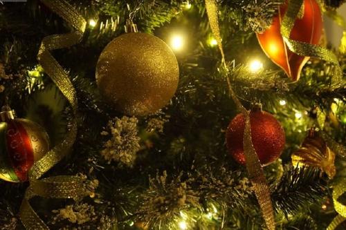 В России официально открылась первая новогодняя елка