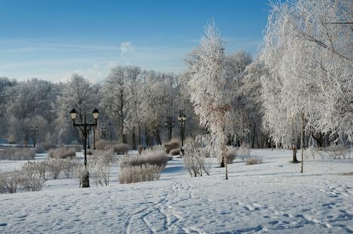 Синоптик Вильфанд заявил, что декабрь в Москве будет солнечным