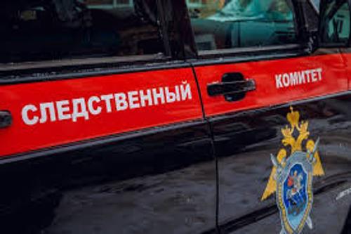 Следователи устанавливают все обстоятельства инцидента в магазине в Новосибирске, после которого ребенок попал в реанимацию
