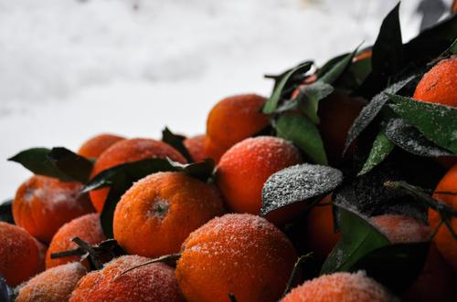 В Роспотребнадзоре перечислили правила выбора спелых мандаринов