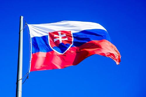 Власти Словакии приняли решение ввести в стране комендантский час