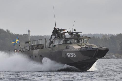 Ресурс InfoBrics: Швеция может стать новым военным противником России