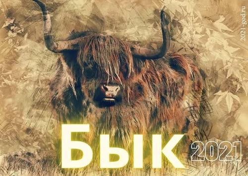 «Тайны Быка»: что ждет знаки зодиака в 2021 году