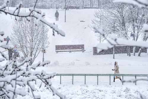 Синоптики Гидрометцентра России предупредили о снегопаде и метели в Москве, которые начнутся в ночь на 14 января