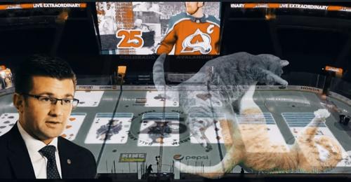 В США диктор хоккейной арены в перерыве матча НХЛ разложил на льду «Косынку»