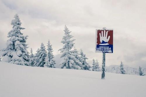 В Швейцарии при сходе лавины погиб лыжник