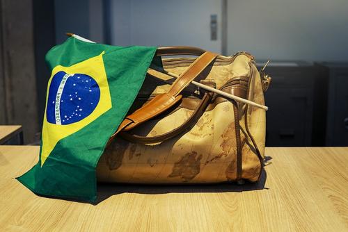 Россиянин пытался вывезти из Бразилии в багаже и ручной клади более двухсот животных