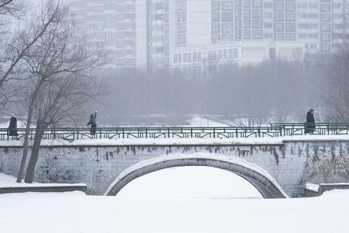 За два дня в Москве выпало около пяти сантиметров снега