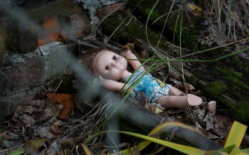 История с подмененными куклами детьми — выдумка. Губернатор Ставропольского края назвал виновника инсценировки